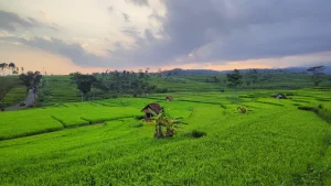 5 Alasan & Keutamaan Beramal Sholeh