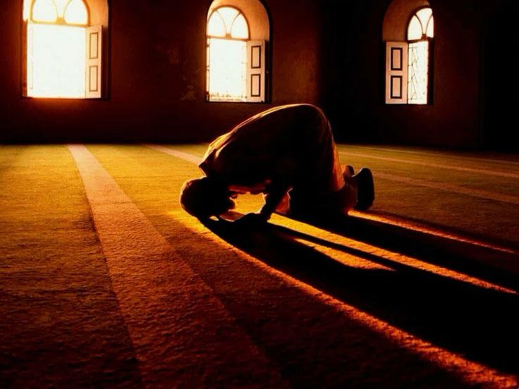 Sujud yang Menghidupkan Hati